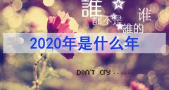 2020年是什么年 2020年出生是什么命