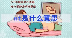 nt是什么意思 nt的正常值范圍多少啊