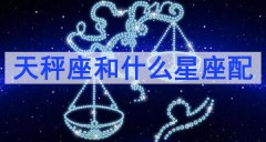 天秤座和什么星座配（水瓶座）