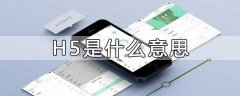 h5是什么意思