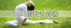 bmi指數計算器(免費在線)