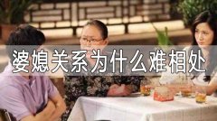 靠譜情感咨詢機構 婆媳關系為什么難相處